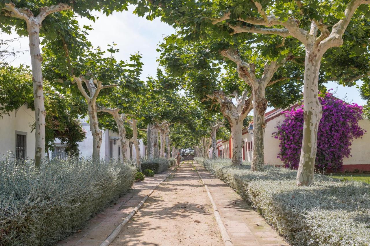 El Cortijo De Los Mimbrales El Rocío Zewnętrze zdjęcie